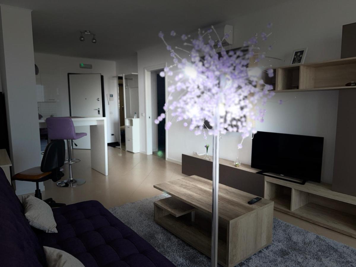 Central Apartment Timişoara Eksteriør bilde